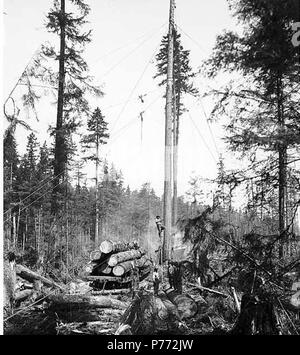 . Anglais : l'équipage au lieu de chargement avec spartree, âne et moteur voiture squelette chargé, Camp 8, Puget Sound Mill et Timber Company, près de, ca. 1922 . Anglais : Légende sur l'image : Puget Sound Mill & Timber Co., Camp 8, Twin River, Washington C. Kinsey Photo, Seattle. N° 12 PH Coll 516,2996 Puget Sound Mill & Timber Company couper ses bois d'abord à Port Angeles en 1914. Opérations d'exploitation forestière étaient situés au Twin. Le moulin était à la faillite en 1927. Twin est une petite colonie sur le détroit de Juan de Fuca à 20 milles à l'ouest de Port Angeles, à l'embouchure de la rivière double dans le centre-nord du comté de Clallam nommé fo Banque D'Images