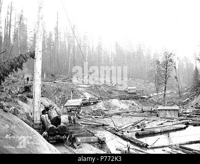 . Anglais : l'équipage au moment de la connexion du moteur d'ânesse dump, spartree et chargés, wagon plat, fer Wynooche Timber Company, Montesano, ca. 1921 . Anglais : Légende sur l'image : Wynoche Logging Co., Montesano, Wn. C.K. Photo de Kinsey. N° 55 PH Coll 516,5152 Le Wynooche Timber Company a commencé ses opérations ca. 1913 avec siège à Hoquiam et opérations forestières dans les Ecorchés. Il a été nommé pour Wynooche Valley dans le nord-est de Grays Harbor Comté. Wynooche Timber Company a été acheté par Schafer Brothers Logging Company ca. 1927. Journal d'un dump est une section d'eau où les journaux sont triés. Les grumes sont plus faciles à trier dans la w Banque D'Images
