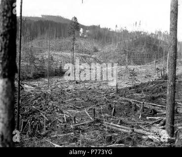 . Anglais : connecté avec chevalets haut, Coucher de Timber Company, Washington, ca. 1920 . Anglais : Légende sur l'image : Sunset Timber n° 3xxx PH Coll 516,4371 Sujets (LCSH) : xyz . vers 1920 7 Connecté avec chevalets haut, Coucher de Timber Company, New York, 1920 (KINSEY 2529) Banque D'Images