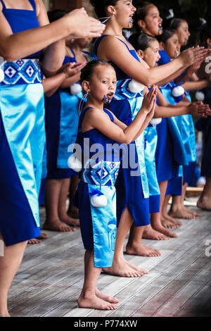 Les femmes artistes maoris à Waitangi Day célébrations à Waitangi, Nouvelle-Zélande Banque D'Images