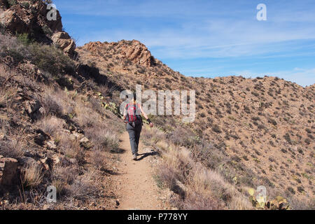 Randonnée femme le roi Canyon Trail dans les montagnes de Tucson Area de Saguaro National Park, Arizona, United States. Banque D'Images