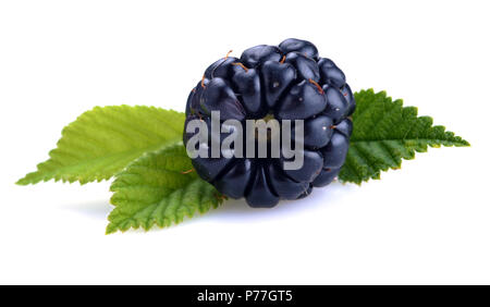 Dewberries (cassis) et de feuilles vertes sur fond blanc Banque D'Images