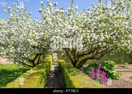 Les jardins de Snowshill Manor dans le village de Cotswold Snowshill, Gloucestershire UK Banque D'Images