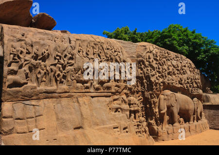 La pénitence d'Arjuna - Mahabalipuram, Tamil Nadu (Inde) Banque D'Images