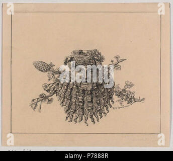 Deutsch : Maske eines Silen aus Bronze, bei Cilli (Celje) gefunden English : Masque de Silen (plus tard nommé Bacchus), fait de bronze, trouvée en 1883 dans une tombe de la nécropole de l'ouest dans la région de Lava (partie de la ville de Celje). Il faisait partie d'un très grand pot en bronze. L'original est conservé dans l'histoire de l'Art Museum de Vienne. L'illustration du livre, gravure sur bois, 7,1 x 10,8 cm (KHMW, inv. ANSA VI 2937). Slovenšina Brouillardsa : Silena (pozneje im. Bakh) iz ylva, odkrita leta 1883 v enem od grobov zahodne nekropole Celju na v Lavi. Del izjemno bronaste posode velike. Hranijo Umetnostnozgodovinskem muzeju original v n Banque D'Images