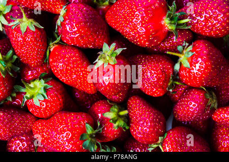 Des fraises de matières premières faisant un motif de fond rouge Banque D'Images