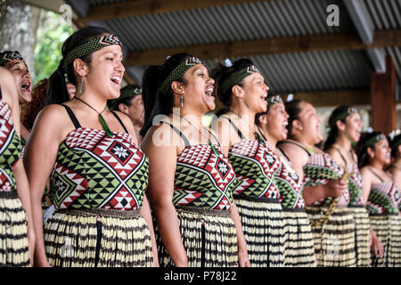 Les femmes artistes maoris à Waitangi Day célébrations à Waitangi, Nouvelle-Zélande Banque D'Images