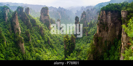 Beau panorama de montagnes karstiques en Zhiangjiajie National Park, Chine Banque D'Images