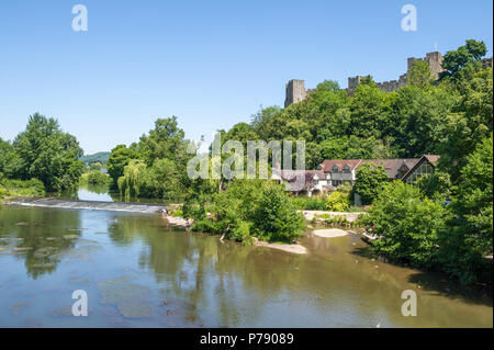 Les familles la natation et jouer dans la rivière teme. Banque D'Images