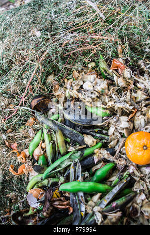 Des couleurs vives dans un tas de compost, montrant des haricots verts, des coquillages, des œufs et des pelures de banane Banque D'Images