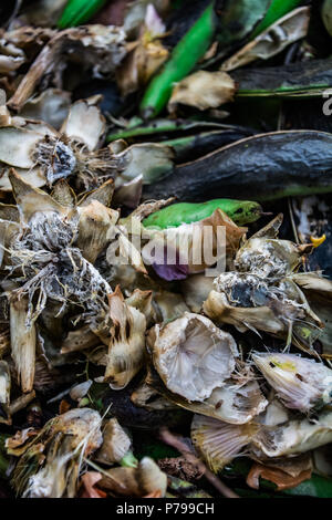 Des couleurs vives dans un tas de compost, montrant des haricots verts, des coquillages, des œufs et des pelures de banane Banque D'Images