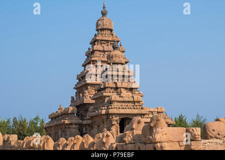 Le Shore Temple à Mamalapuram sur la côte de Coromandel, du Tamil Nadu, en Inde, construit au 8ème siècle. Le temple de granit surplombe la baie du Bengale Banque D'Images