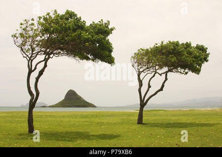 L'île de Mokoli'i (auparavant connue sous le nom de « chapeau de Chinaman »), au loin. Parc régional de Kualoa, baie de Kaneohe, île d'Oahu, Hawaï, États-Unis. Banque D'Images