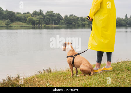 Femme en imperméable jaune et chaussures de marche le chien dans la pluie au parc urbain près du lac. Banque D'Images