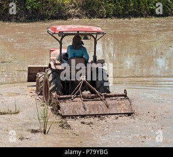 Tracteur avec rotovator avec la préparation de terrain pour la culture du riz inondé, Udon Thani, l'Isaan, Thaïlande Banque D'Images