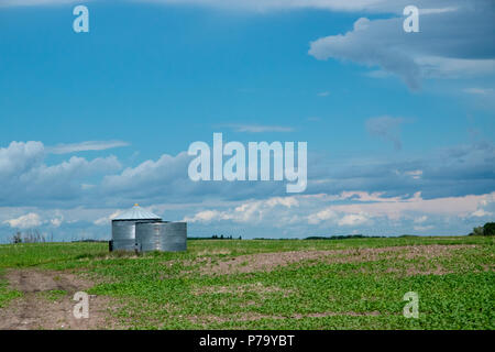 Le 1er juillet 2018, au nord de Churchbridge (Saskatchewan). Greniers dans les terres agricoles. Banque D'Images