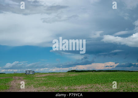 Le 1er juillet 2018, au nord de Churchbridge (Saskatchewan). Greniers dans les terres agricoles. Banque D'Images