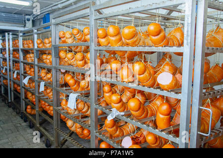 La saucisse. Ligne de production de saucisses. Sur le comptoir de la saucisse pour le fumoir. Fabrication industrielle des saucisses. Banque D'Images
