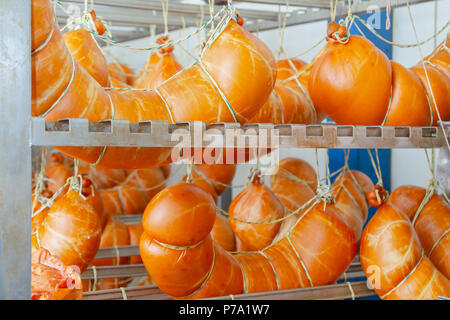 La saucisse. Ligne de production de saucisses. Sur le comptoir de la saucisse pour le fumoir. Fabrication industrielle des saucisses. Banque D'Images