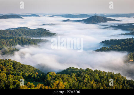 Tôt le matin, brouillard recouvre une profonde vallée de montagnes dans les Appalaches. Banque D'Images