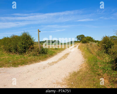 Un calcaire upland bridleway avec un panneau en bois près de Water donnant sur une récolte de pommes de terre et de bois sous un ciel bleu dans le Yorkshire Wolds Banque D'Images