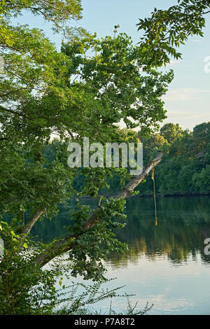 Rope swing au cours de la Coosa River dans l'été à Wetumka Alabama, Etats-Unis. Banque D'Images