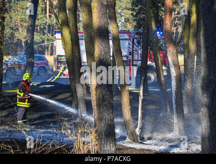 Allemagne, Limsdorf. 4 juillet, 2018. Le personnel a publié la dernière lueur et d'étincelles dans une forêt de pins. L'incendie qui a attrapé sur quelque 100 hectares de forêts et de terres sur le terrain a été mis sur le jeudi soir. Plus de 13 heures ont été nécessaires pour éteindre le feu dans le district de Limsdorf, comme le service des incendies déclarés. La police n'est pas encore en mesure de fournir une source pour le feu. Le Brandebourg est en ce moment à haut risque de feux de forêt. Crédit : Patrick Pleul/dpa-Zentralbild/dpa/Alamy Live News Banque D'Images