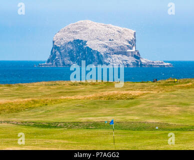 North Berwick, East Lothian, Ecosse, Royaume-Uni, 5 juillet 2018. Le Bass Rock, abrite la plus grande colonie de fous de bassan, vin blanc au soleil avec l'imbrication de bassan et une masse d'oiseaux volant autour d'elle sur une journée ensoleillée Banque D'Images