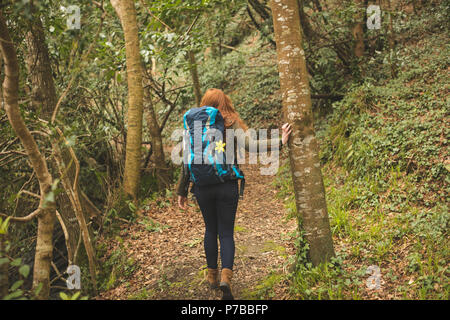 Female hiker avec sac à dos en randonnée dans la forêt Banque D'Images