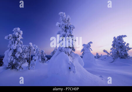 Scène d'hiver dans Särkituntturi ont chuté de Muonio, Finlande, Laponie Banque D'Images