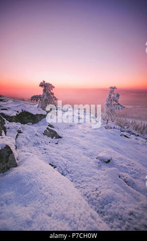 Scène d'hiver est tombée en Olostunturi Muonio, Finlande, Laponie Banque D'Images