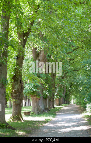 Alley, dinkelsbuehl, central-franconia, Franconia, Bavaria, Germany Banque D'Images