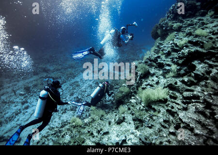Les plongeurs l'exploration sous-marine récif volcanique à l'île de Tortuga à Galápagos, Equateur, Amérique du Sud Banque D'Images