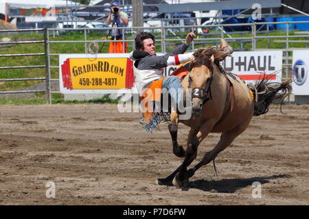 Saddle bronc riding la concurrence, Valleyfield Rodeo, Valleyfield, Québec, Canada Province Banque D'Images