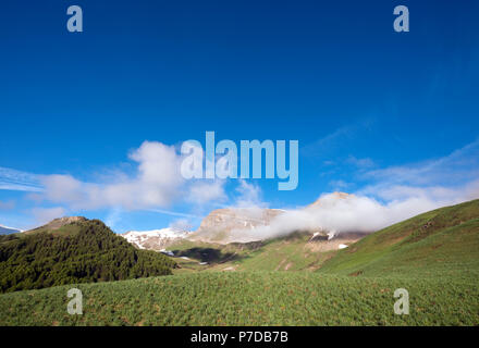 Collines d'herbe verte sous une montagne de haute provence près de col de vars en france Banque D'Images