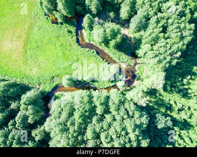 Vue aérienne de canots sur la rivière Marycha lors d'une journée ensoleillée, Pologne Banque D'Images