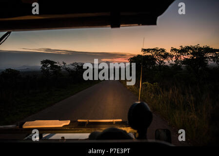 Vue depuis la route de véhicule au crépuscule, Kruger National Park, Afrique du Sud Banque D'Images