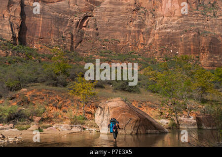 Climber crossing river, Zion National Park, Utah, USA Banque D'Images