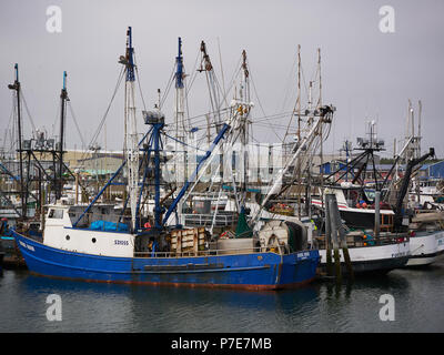 WESTPORT, le 18 juin à Washington, 2018 : pêche commerciale des bateaux amarrés dans le port sur un matin brumeux. Banque D'Images