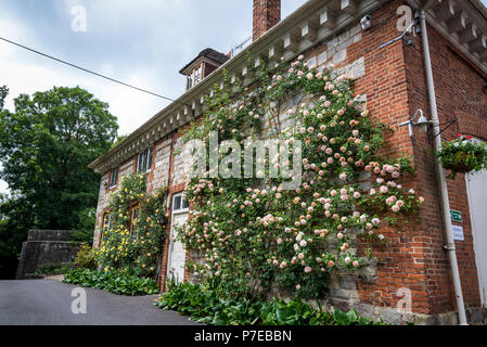 Sur des bâtiments dans le complexe du château de Farnham, Surrey, fondée en 1138 par l'Évêque Henry de Blois. Angleterre, Royaume-Uni Banque D'Images