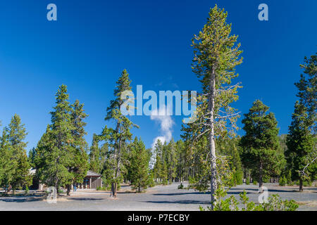 Old Faithful Geyser Visitor Centre dans le parc national de Yellowstone dans le Wyoming. Banque D'Images