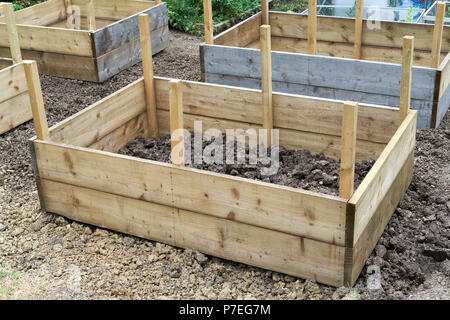 Construction Bois surélevée dans un potager, au Royaume-Uni. Banque D'Images