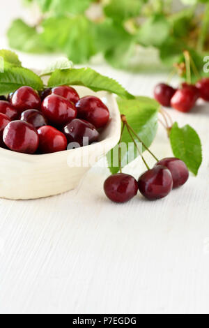 Assez lumineux vertical image organique de cerises fraîchement cueillies de verdure sur fond blanc, format vertical, à ad floue copyspace Banque D'Images