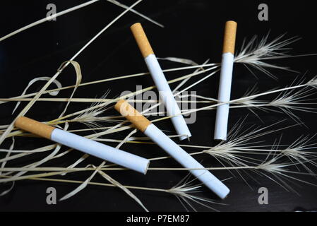 Nombre de cigarettes avec les oreilles d'herbe sèche sur un fond noir brillant. Banque D'Images