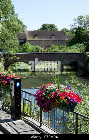 Vue vers l'amont, Abingdon-on-Thames, Oxfordshire, England, UK Banque D'Images