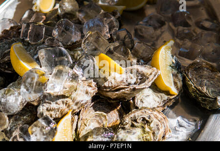 Huîtres avec citron dans la glace dans une journée ensoleillée sur un foodfest. Banque D'Images