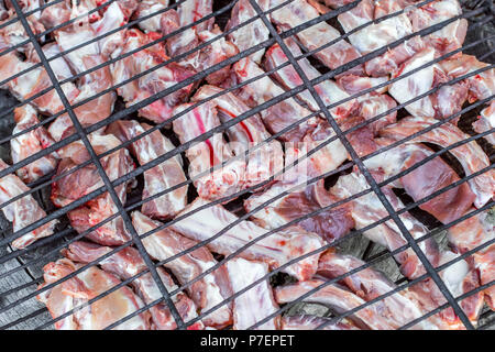 Côtes de porc sur le grill en fonte . Les personnes faisant un barbecue et déjeuner dans la nature à l'été. Banque D'Images