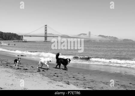 Golden Gate Bridge à San Francisco, Californie, USA Banque D'Images