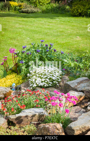 Un petit jardin avec fleurs de printemps, à côté d'une pelouse dans un jardin anglais en mai Banque D'Images