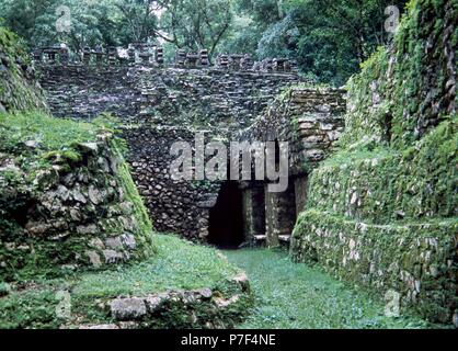 Le Mexique. Yaxchilan. Temple du labyrinthe. La fin de l'époque classique. Banque D'Images